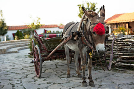 驴车图片