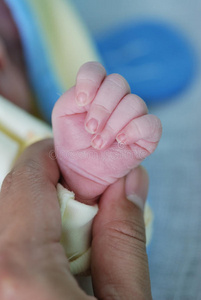 手指,一个地方为您的文本,可爱的女婴躺在共同卧铺婴儿床连接到父母的