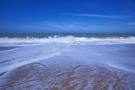 海滩和热带海