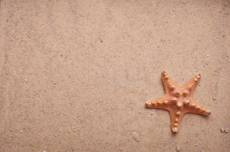海星沙底