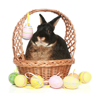 彩蛋可爱的复活节兔子