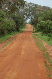 大草原上的土红色道路