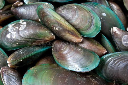 青口冬阴功图片