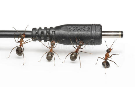 蚂蚁团队与插头连接团队合作