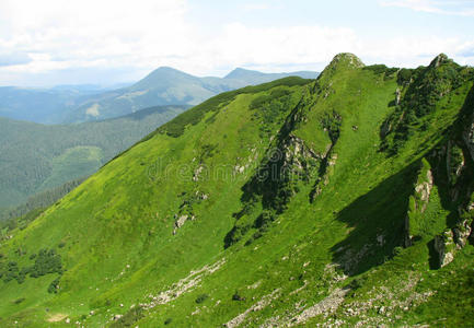 场景 自然 乡村 公园 草地 高的 徒步旅行 土地 牧场