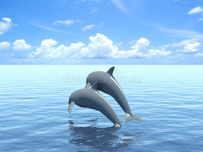 两只海豚在海上漂浮。