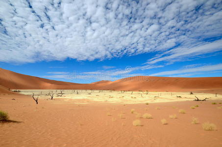 沙漠纳米布