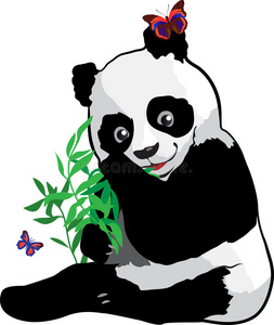 带蝴蝶的小熊猫照片