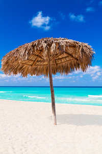 热带沙滩上的雨伞