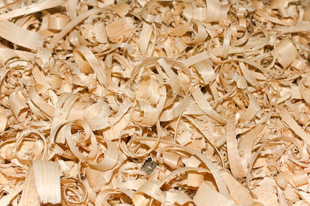 木屑照片