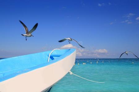 蓝船海鸥加勒比海绿松石海