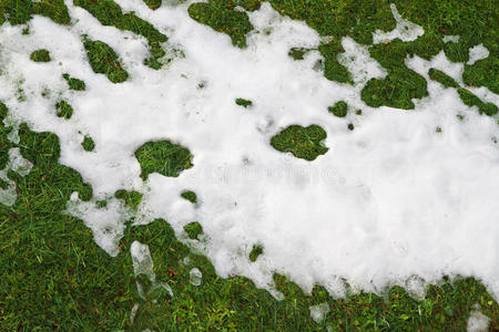 草地上的雪图片