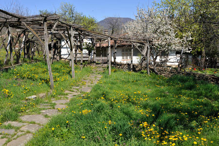 保加利亚乡村住宅绿地图片