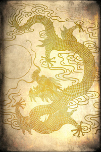 金龙爪金龙照片