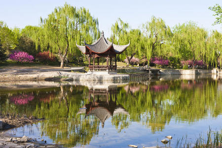 中国馆景观