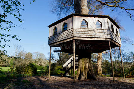 英国拍摄的木树屋