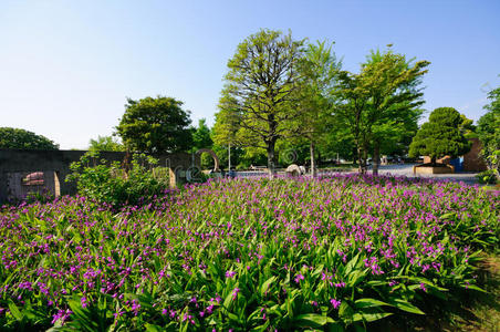 日本横滨