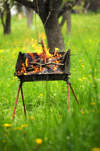 火烧木柴烧烤箱