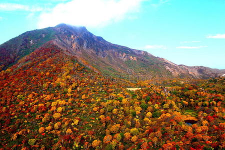 秋山