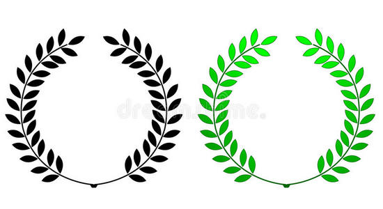 月桂花环白色背景下分离的月桂叶