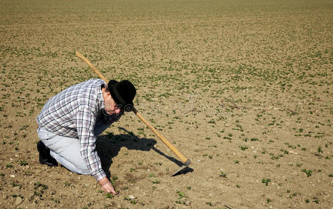种地的农民长着幼嫩的照片