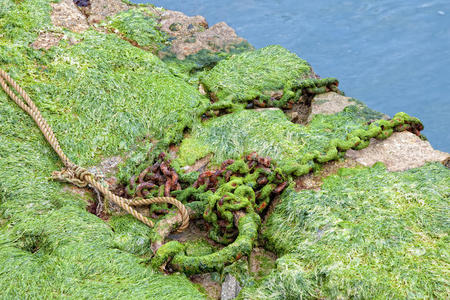 海藻和生锈的铁链