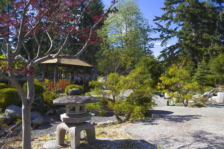 日本拘留营的宁静花园
