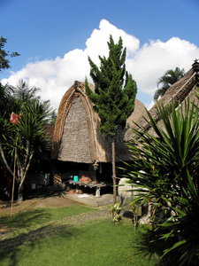 巴厘岛的传统住宅图片