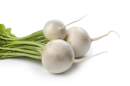 鲜白圆萝卜照片