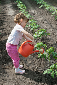 女孩浇水幼苗番茄