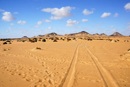 撒哈拉，黑沙漠，埃及