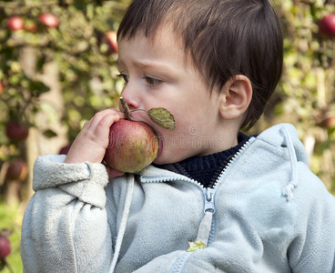 儿童吃苹果