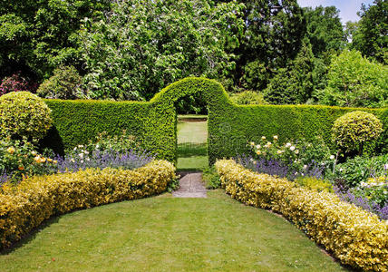 夏天花园篱笆图片
