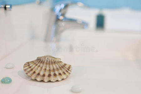 浴室里的贝壳