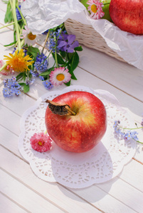 白色花园桌上的红苹果