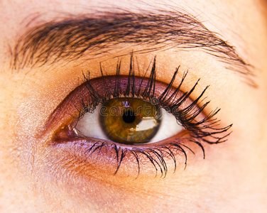 眼球内陷图片