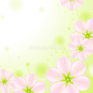 花朵2.粉色花朵