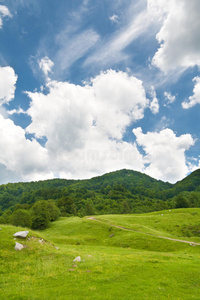 蓝天绿林夏季景观图片