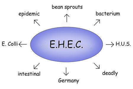 肠出血性大肠杆菌