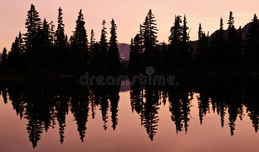 傍晚 颜色 公司 海洋 森林 自然 黄昏 反射 风景 天空