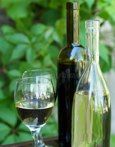 一瓶瓶红酒和白葡萄酒配葡萄图片