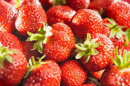 新鲜的阳光草莓