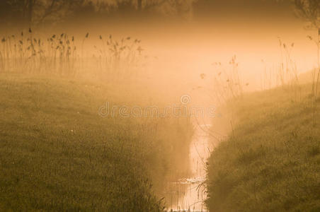 乡间小溪上的薄雾图片