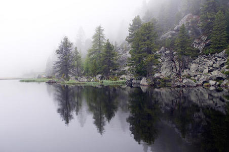 雾蒙蒙的松树湖
