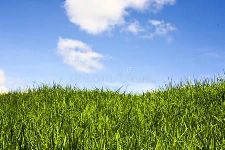 草原和天空。
