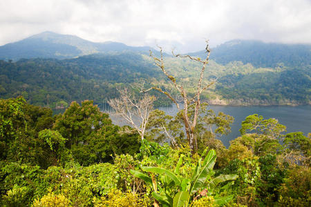 坦布林根湖