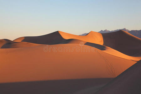 日出沙丘的清晰图形