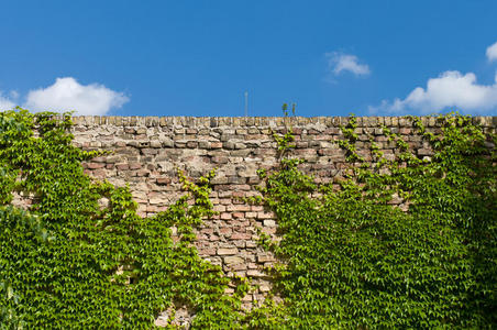 旧砖墙。