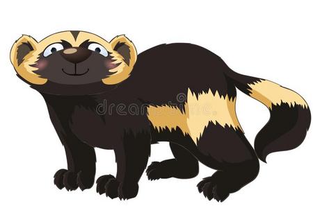 狼獾图片