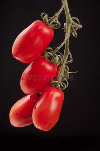 罗曼诺番茄图片